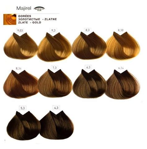 This product is a big favourite with hair salon owners and professional colourists alike, and you can shop for yours online at salons direct right now. Image result for majirel 7.3 | Hair color chart, Loreal ...