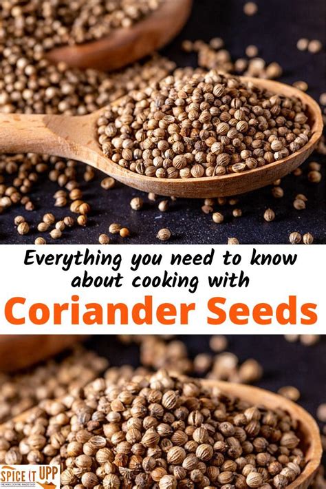 Coriander is an important spice crop. What is Coriander Seeds: A Complete Guide on Benefits ...