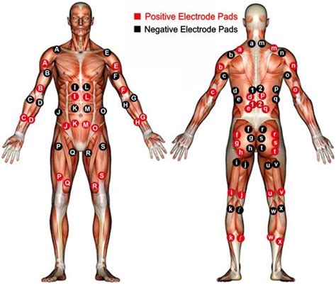 Back massagers are designed to simulate a manual back massage. ems 2 electrode placement chart bodybuilding - Google ...