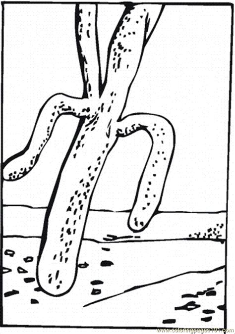 Cactus 1 Coloring Page - Free Flowers Coloring Pages : ColoringPages101.com