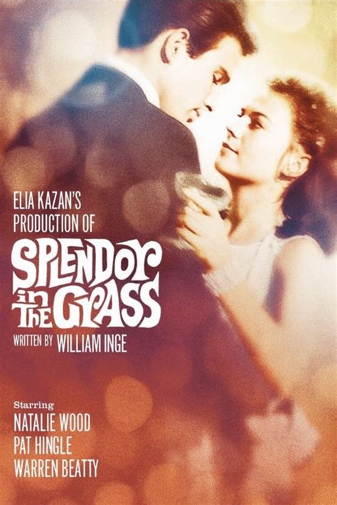 More images for splendor in the grass poster » Splendor in the Grass (1961) par Elia Kazan