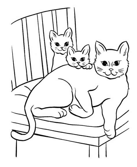 These are all my original drawings, but you can use them for free as long as you follow the very simple rules, that you can read about on my homepage. Pet Cat And Twi Little Kitten Coloring Page : Coloring Sky