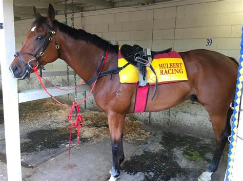 Horse Training Facilities - Hulbert Racing