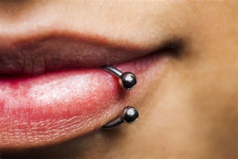 The piercer will need to know which jewelry the piercing must accommodate. Snake Bite Piercings and What You Should Know