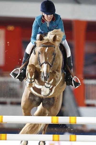 In addition to her show jumping work, diniz is also known for g.r.o.w. Luciana Diniz