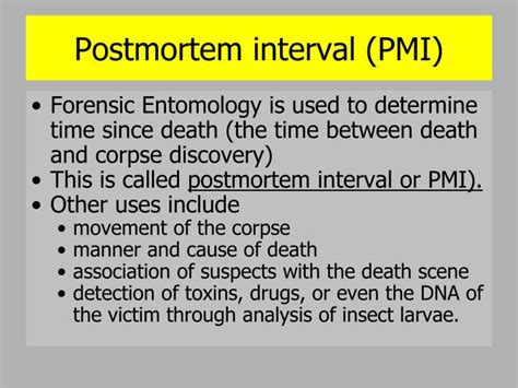 Download domain decomposition methods in science and engineering xx (lecture notes in watch dogs clara death scene1080p. PPT - Forensic Entomology PowerPoint Presentation - ID:1772865