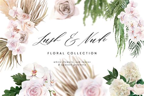 We did not find results for: Lush & Nude Floral Collection | Pre-Designed Photoshop ...