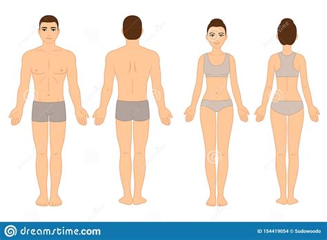 Click for even more facts and information. Male and female body chart stock vector. Illustration of ...