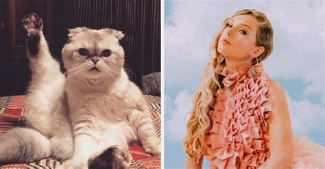 With robbie fairchild, mette towley, daniela norman, jaih betote. Quiz: Which Taylor Swift Cat Are You?