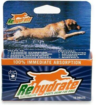 20 best ideas diy electrolyte water. *New - Rehydrate Electrolyte Sports Drink for Dogs - 3 ...