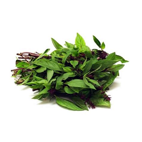 Basil leaf is a wonderful herb that has many uses in cooking, natural medicine, and more. Basil Leaves/Daun Selasih (per Packet) - E-Petani Malaysia