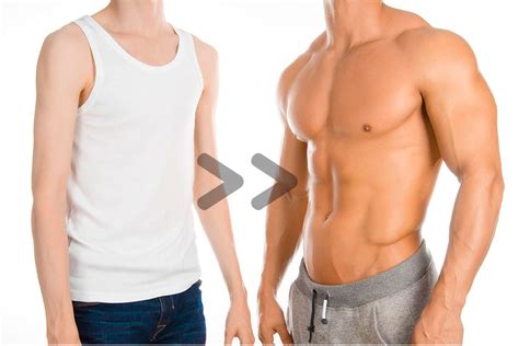 Neste caso, ectomorfo representa pessoas que possuem o metabolismo acelerado, gastam energia com facilidade e possuem dificuldades para ganhar peso. Come ottenere molto ectomorfo - strategia di allenamento e ...