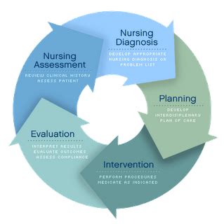 And she has an ibw % of 110.71. good Importance Of Critical Thinking In Nursing Process Finding Great Essays To Buy - A List Of ...