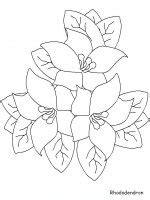 Dal 3 settembre 2012 condotto da fiore manni. Disegni da colorare di fiori, FIORI da colorare