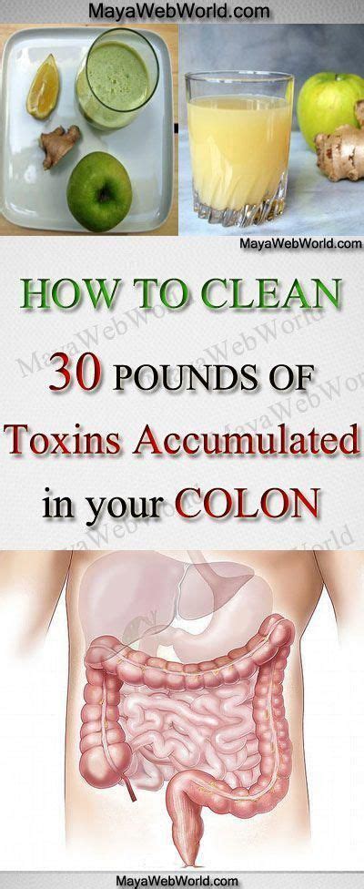 How to clean your colon and detoxify your body #howtocleansecolonwithdiet #coloncleansediy. colon cleansing #overnightcoloncleanse | Homemade colon ...