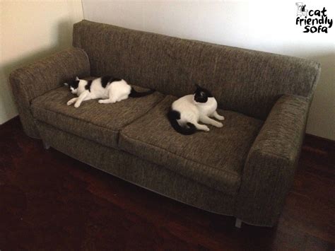 Dass eine katze kratzt, gehört zu ihrem natürlichen verhalten dazu. 26 Luxus Katze Kratzen Sofa | Coole sofas, Sofa, Blaues ...