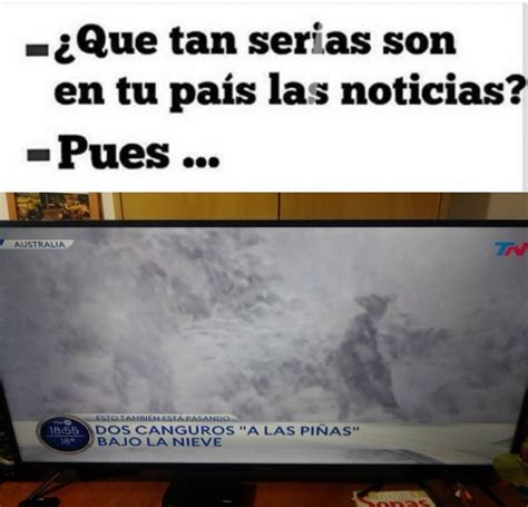 Además, la gente siguió con el mame y fue así que nos dejaron estos invasivos memes sobre la guerra entre uruguay y los. Top memes de nieve en español :) Memedroid