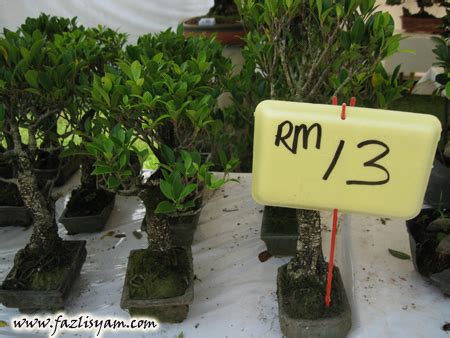 We did not find results for: Pokok Bonsai | Segalanya Tentang Tumbuhan...