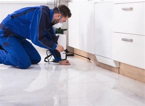 The answer isn't as easy as you think. Why Get a Combined Building and Pest Inspection - Inspect ...