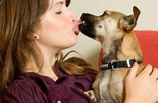 dog pets kissing kiss bestiality sex canada good kisses animal their canine university