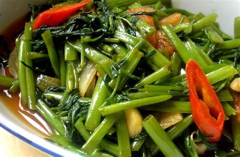 Tanaman kangkung darat banyak ditanam penduduk untuk konsumsi keluarga. 3 Resep Tumis Kangkung yang Simpel dan Lezat - Resep Kita