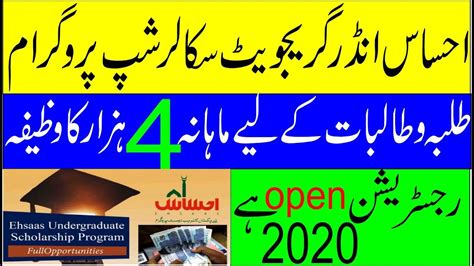 We did not find results for: how to apply for ehsaas undergraduate scholarship program ...