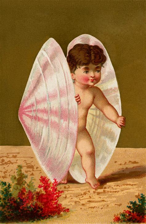 Darling Vintage Seashell Baby Image! - The Graphics Fairy