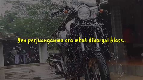 Kumpulan video lucu anak herex story wa kata2 mutiara cb gl c70 tiger. Story Wa Tiger Herex || - YouTube