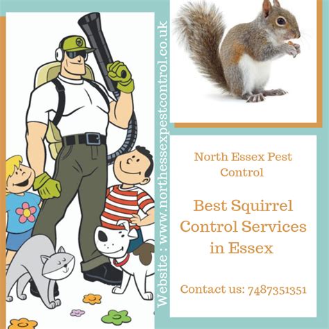 Protect your family and pets today. Squirrel Control Services | North Essex Pest Control ...