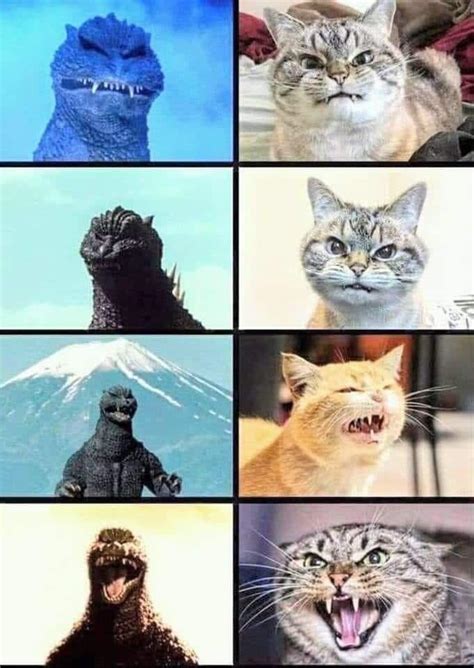 If there is a resemblance between two people or things, they are similar to each other. The resemblance is... uncanny. : kaiju_memes