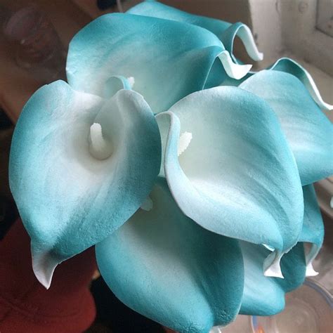 We did not find results for: 10 Picasso Oasis Teal Edge Calla Lilies Real Touch Flowers ...