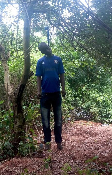 Choose from a wide range of similar scenes. MAN COMMITS SUICIDE BY HANGING ON A TREE IN ONDO, SEE ...