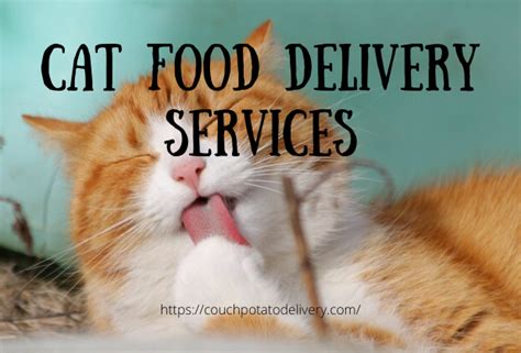 Shop for all of your pet needs at chewy's online pet store. Cat Food Delivery