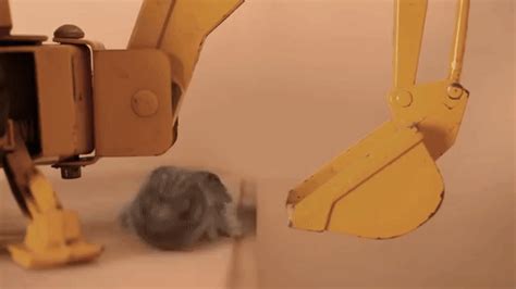 Best animations is a collection of animated gifs found on the web and original exclusive gifs made by us. Lucas the Spider Embarks on a Search Around the House to Find a Perfect Place to Take a Nap