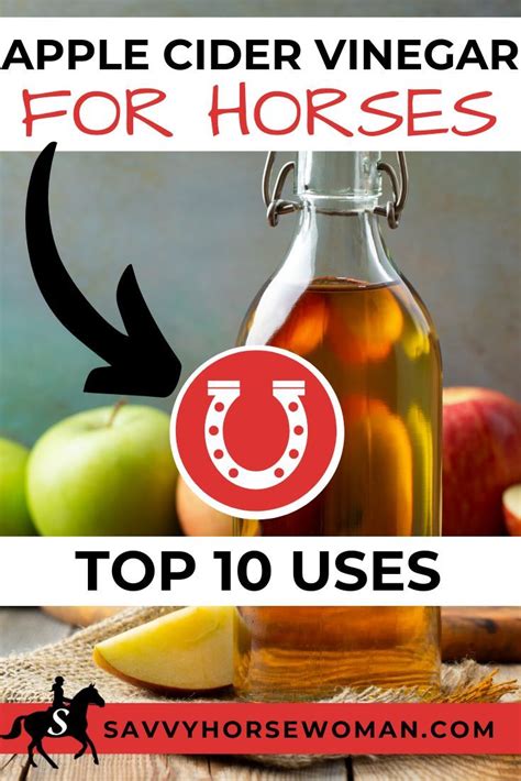 Keep in mind that just because they can eat apples, doesn't mean. Apple Cider Vinegar for Horses - Top 10 Uses in 2020 (With ...