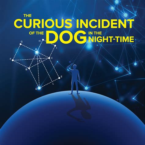 Book royal hawaiian beachfront resort, wildwood crest on tripadvisor: The Curious Incident of the Dog in the Night-Time ...