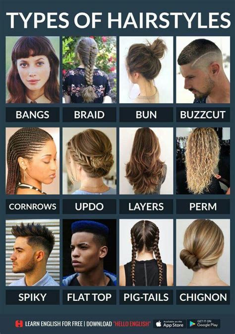 Learn accessories vocabulary words and hat names in english with pictures and examples to increase your. Types of hair | Learn english, English vocabulary, English ...