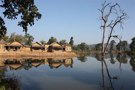 Tiger king's doc antle charged with alleged wildlife trafficking, animal crueltytwo of the myrtle tiger king creators turn attention to siegfried & roy big cat attackthe 2003 incident left late. Tiger Lagoon Resort Bandavgarh National Park