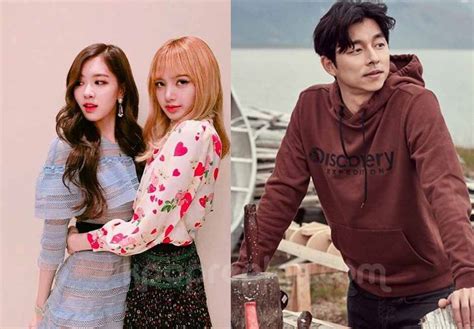 While blackpink's release date for their 1st full album comes closer (october 2, 2020), lisa became celine's global ambassador. Lisa y Rosé de BLACKPINK eligen a Gong Yoo como su hombre ...