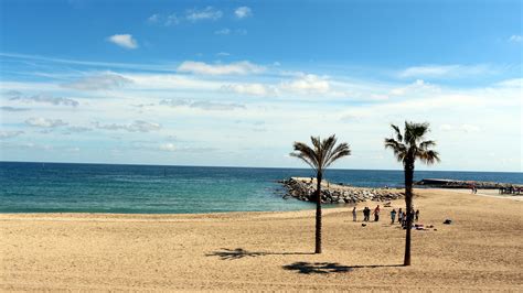 Playa de la barceloneta, barcelona kuva: Sonne, Meer und Sangria: Die schönsten Strände in ...