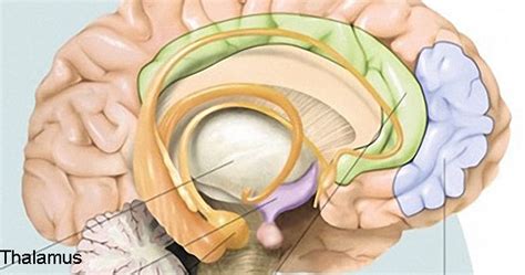 Depresi ekonomi terjadi jika kontraksi ekonomi terus berlanjut. Apa Itu Depresi: Pengertian Depresi Secara Medis - Pasien Sehat