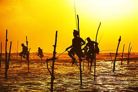 Il comprend une section détaillée et en couleur sur sri lanka. Sri Lanka | Guide de voyage Sri Lanka | Routard.com