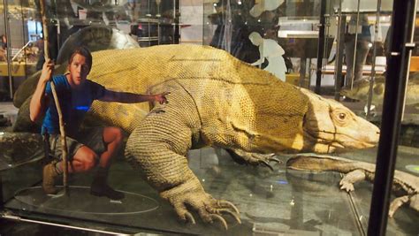 Vonk bezocht in dordrecht het titus brandsmacollege. Biodiversity Center Naturalis met kinderen (dubbelblog!)