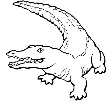 Check spelling or type a new query. Simple Alligator Drawing at GetDrawings | Free download