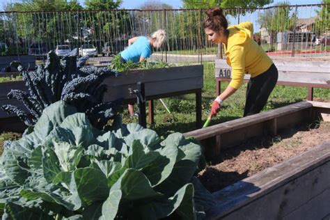 But many outside center city welcome stakeholders from elsewhere, including north philly's. Community Gardens to Fulfill Your Secret Farmer Fantasy ...