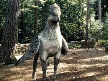 Definition from wiktionary, the free dictionary. Harry Potter - Animals and Pets / Characters - TV Tropes