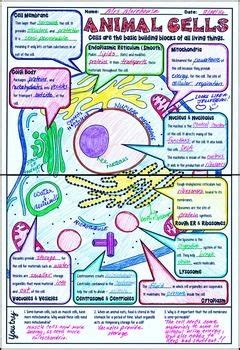 Maybe you would like to learn more about one of these? Animal Cells Science Doodle Notes with PowerPoint & Quiz ...