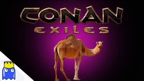 Camel is a creature in conan exiles. Conan Exiles - How to get a pet camel 2019 - YouTube