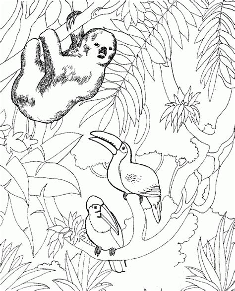 Fox is very smart animal. Free Printable Zoo Coloring Pages For Kids
