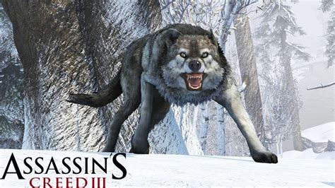 Atmospheric soundtrack and great graphics the follow up to greed: Assassin's Creed 3 gameplay. Vs wolf. - YouTube